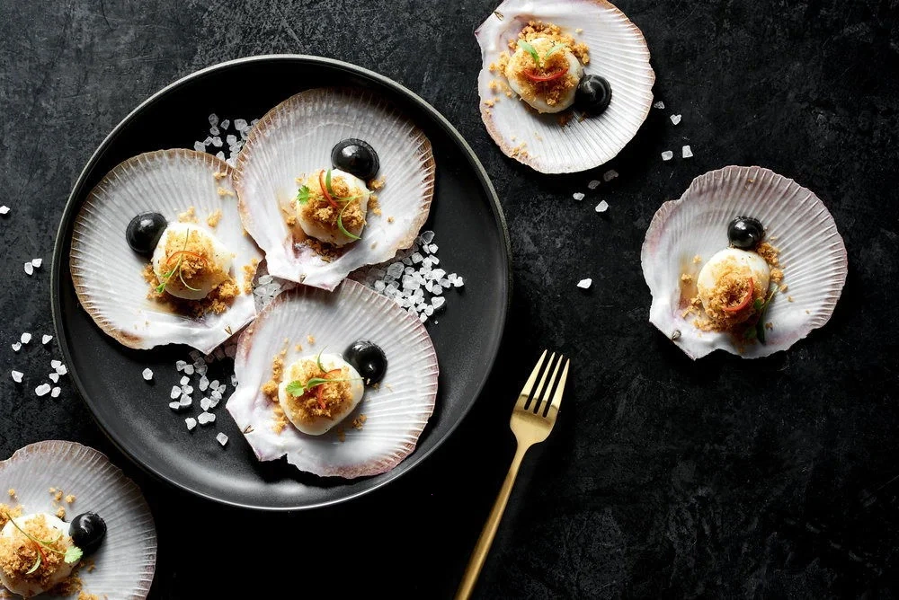 高端料理纪录片分类 - 精致扇贝料理